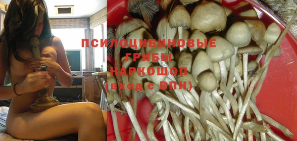 стафф Пестово