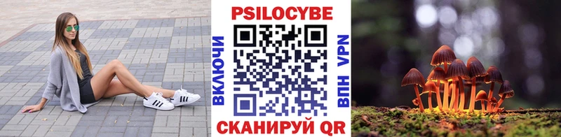 Галлюциногенные грибы ЛСД сколько стоит Кизляр