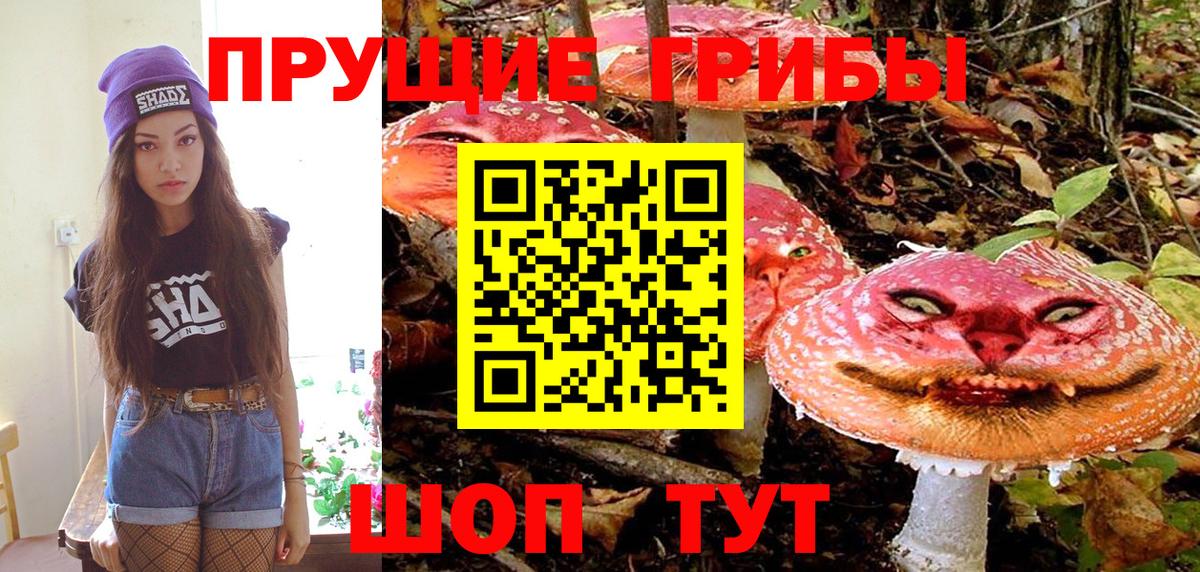 Галлюциногенные грибы MAGIC MUSHROOMS  Галлюциногенные грибы Psilocybine cubensis  Вход с VPN  Кизляр 