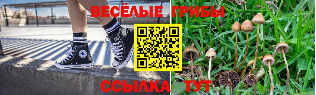 Галлюциногенные грибы мухоморы Кизляр