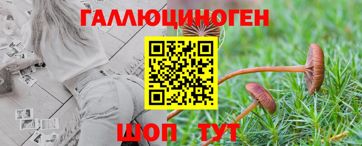 Галлюциногенные грибы Cubensis  Кизляр 