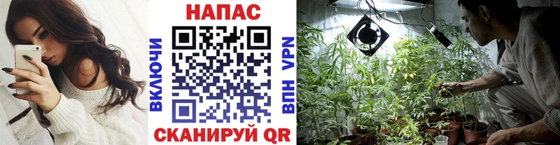 Конопля индика  Кизляр 